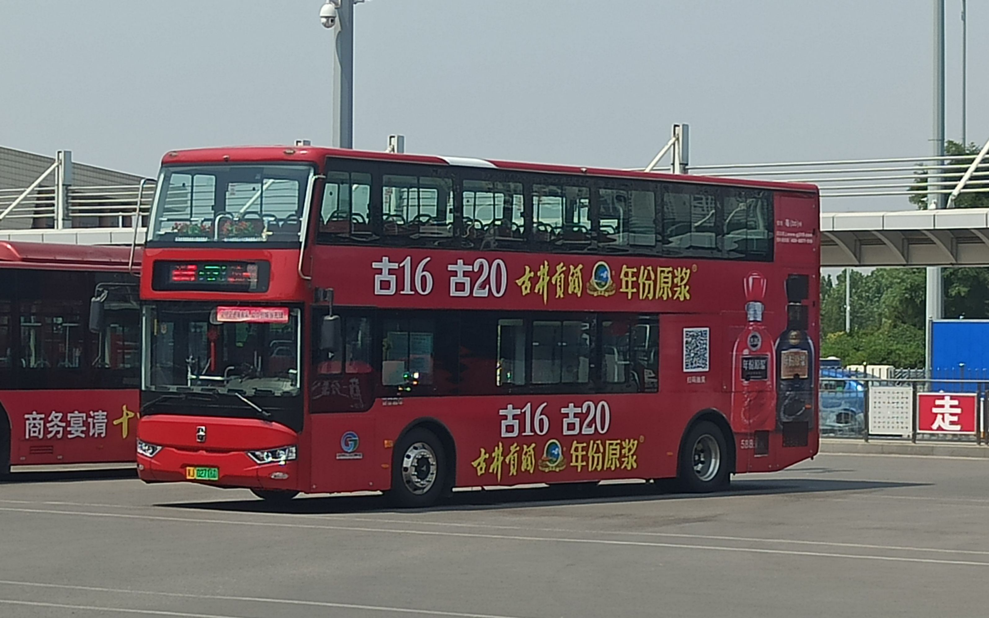 沧州公交pov——t31路(高铁西站——动物园)_哔哩哔哩 (゜-゜)つロ