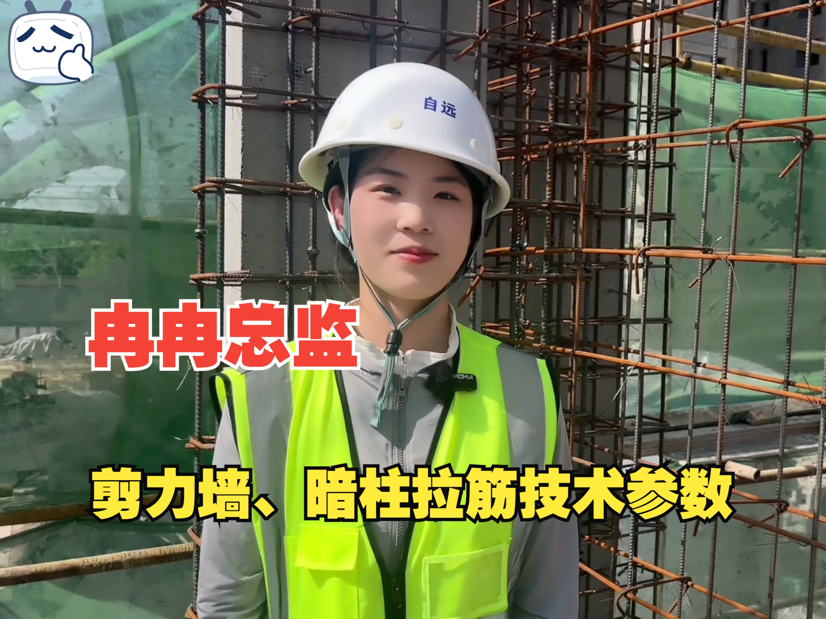 冉冉总监讲剪力墙,暗柱拉筋参数,排布规则/土木工程/工程造价/工程