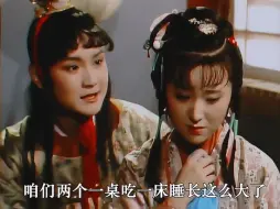 Download Video: 宝玉每次哄林妹妹的时候，都拿出了他双商的最高水平