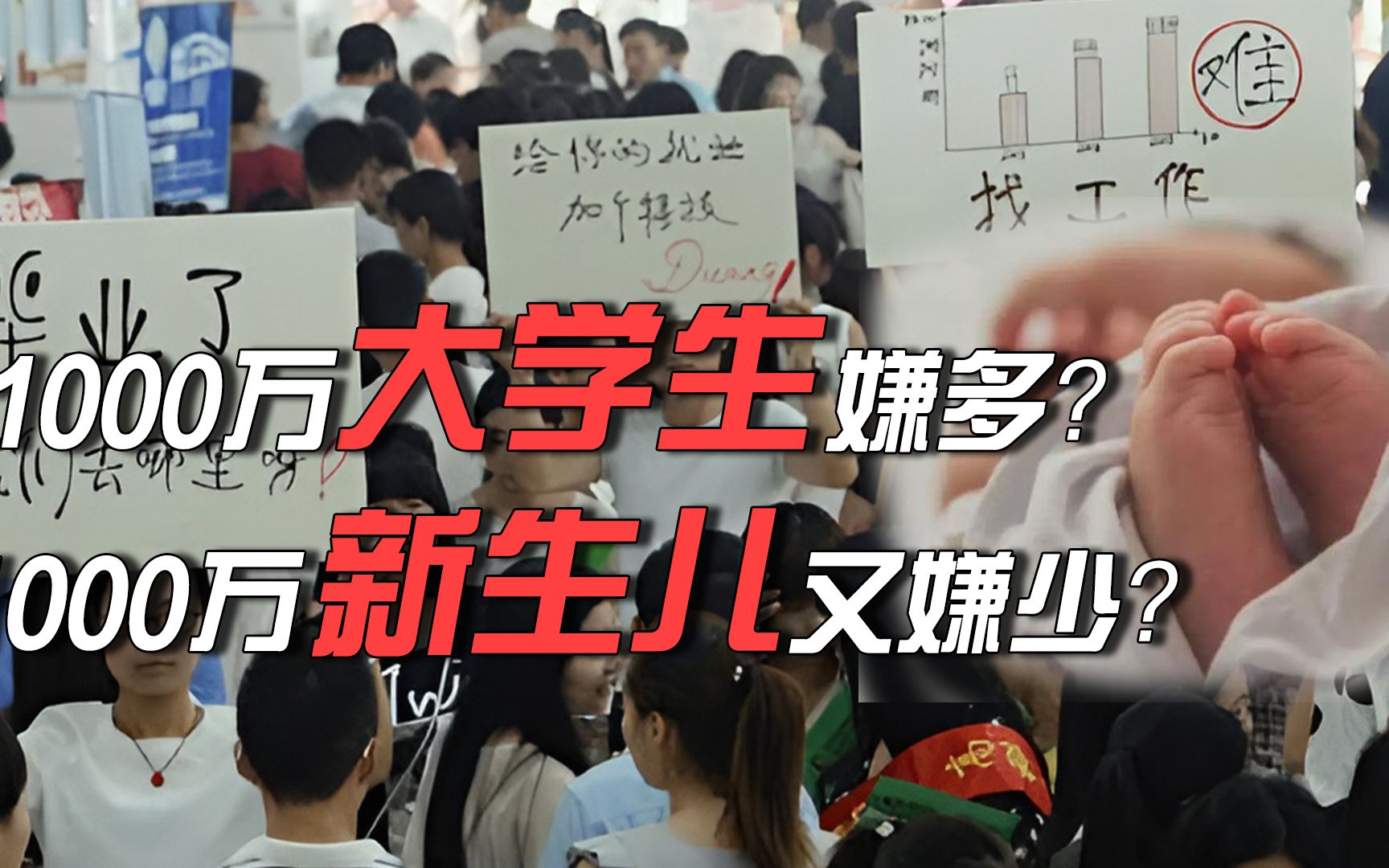 1000万大学毕业生嫌多,1000万新生儿又嫌少?哪个问题更严重?哔哩哔哩bilibili