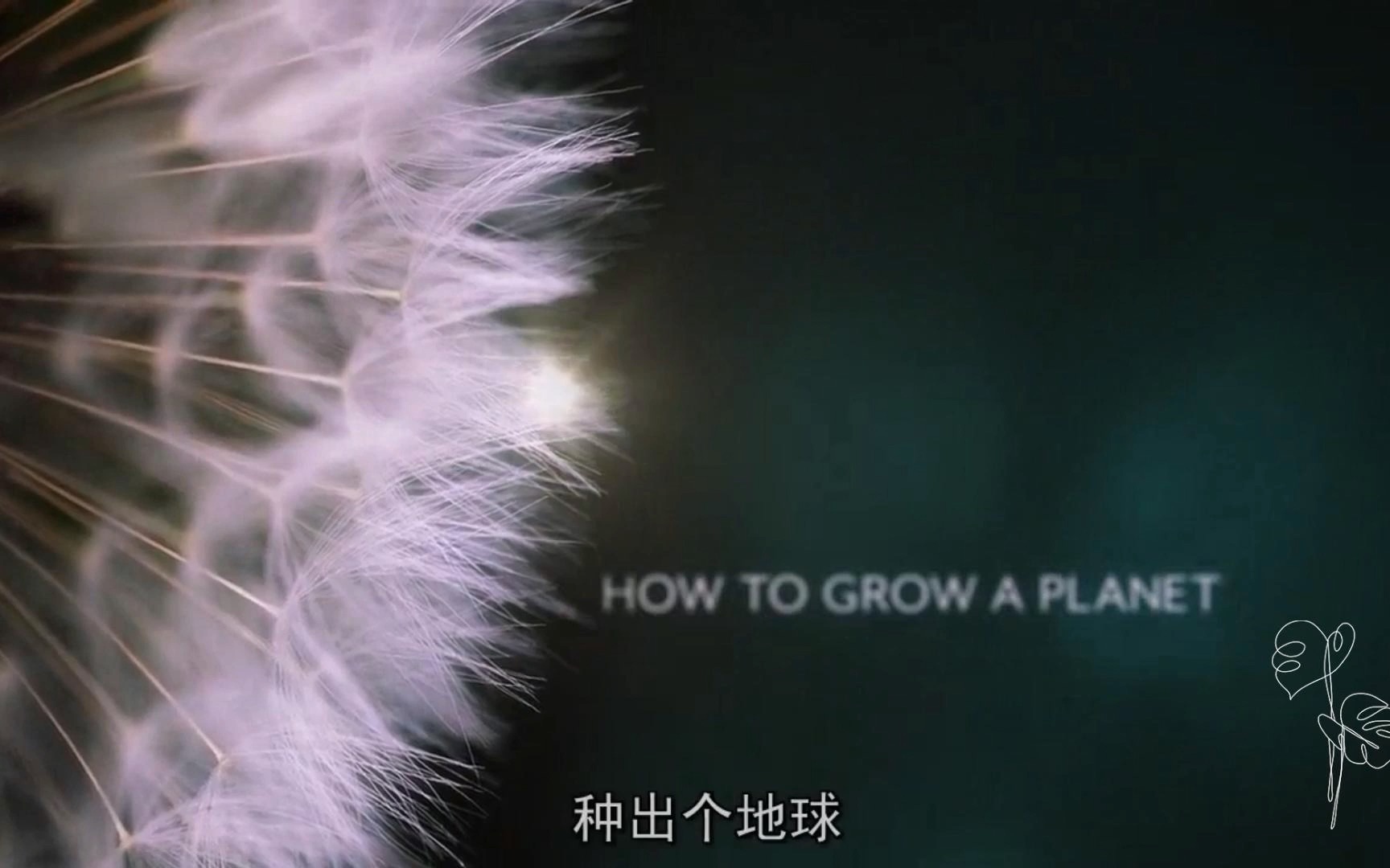 [图]中英双字-万物生长&植物之歌How-to-grow-a- planet.720p.BD-2