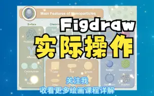 Download Video: 聚焦科研绘图：【Figdraw】实际操作展示