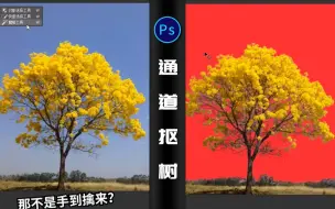 Download Video: 【PS教程】教你用万能方法抠大树