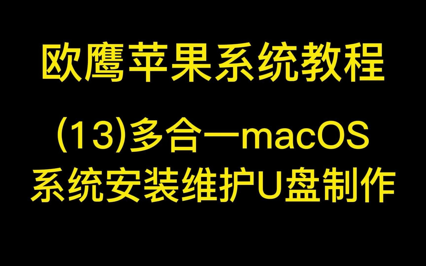 (13)多合一macOS系统安装维护U盘制作哔哩哔哩bilibili