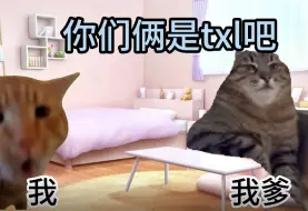 Download Video: 【猫meme】关于我爹破拆我柜门，反而被我科普钕铜X生活这件事