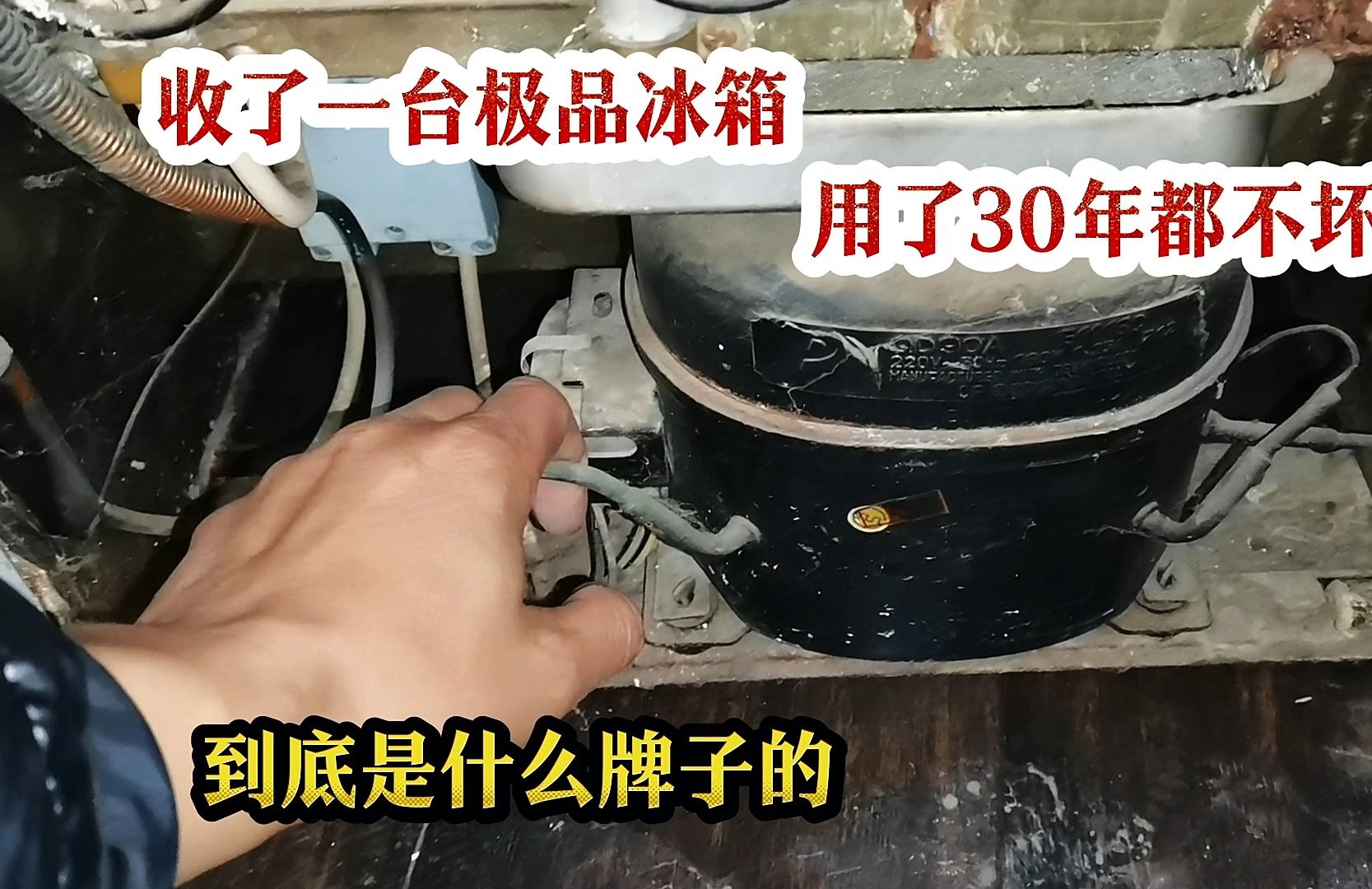 今天回收了一台极品冰箱,用了30年都不坏,到底是什么牌子的?哔哩哔哩bilibili