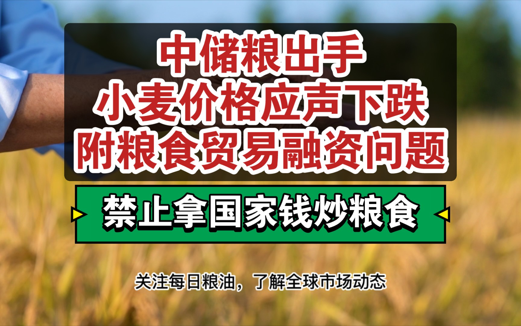 对接俄罗斯廉价小麦 埃及为近7000万低收入者提供面包价格补贴;需求低迷难支撑高价,中储粮出手小麦价格应声下跌,附关于粮食贸易中的融资问题哔哩...