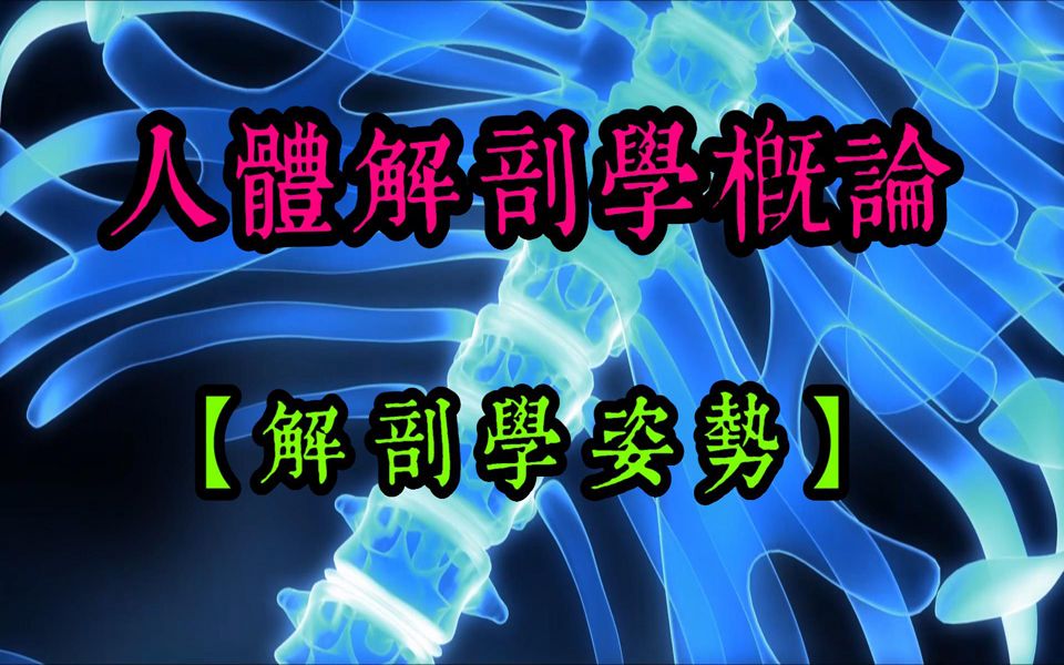 [图]01中国书法系列之 西医人体解剖学概论 - 解剖学姿势歌