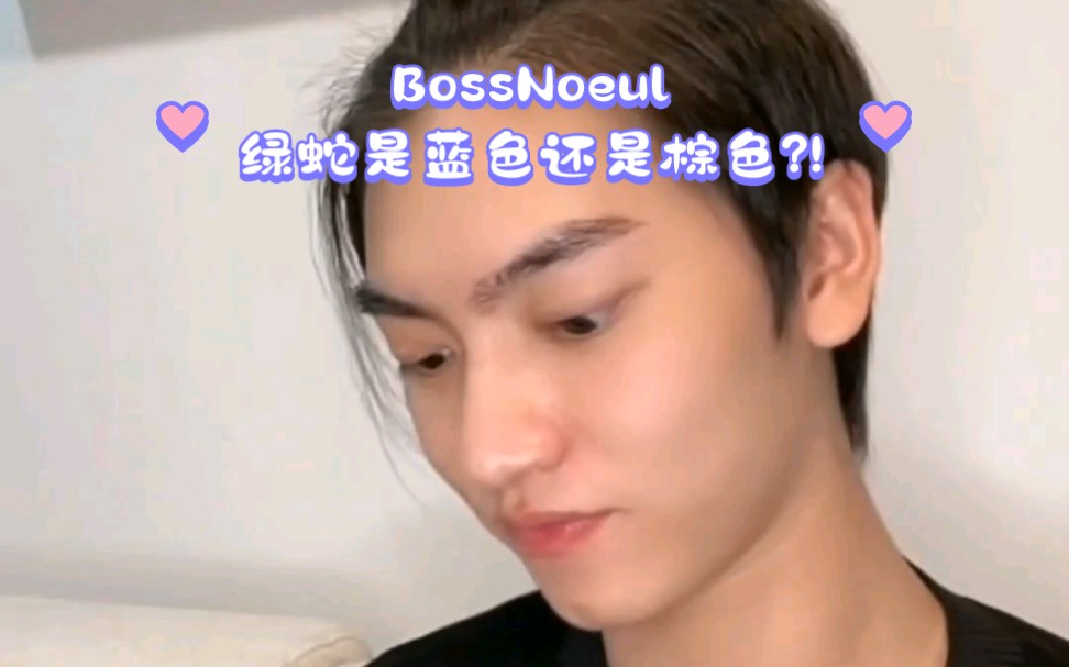 [BossNoeul]直播经典问答之绿蛇是蓝色还是棕色?!哔哩哔哩bilibili