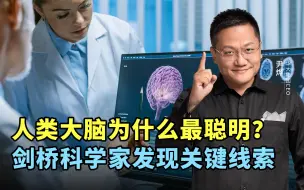 Télécharger la video: 人类大脑为什么最聪明？剑桥大学科学家发现关键线索