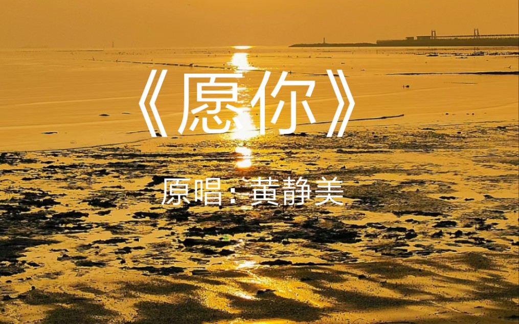 《愿你》百听不厌热门歌曲 歌词暖心又治愈!哔哩哔哩bilibili