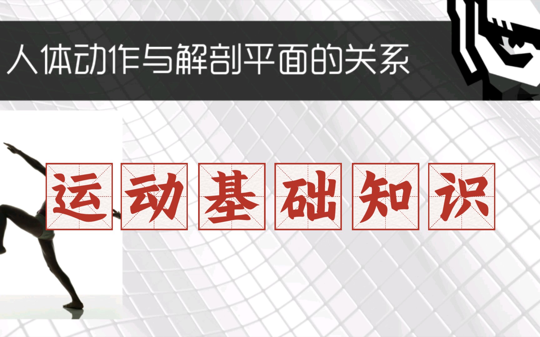 【自用】ⷨ🐥Š襁娺륟𚧡€知识—肌肉、骨骼构造哔哩哔哩bilibili