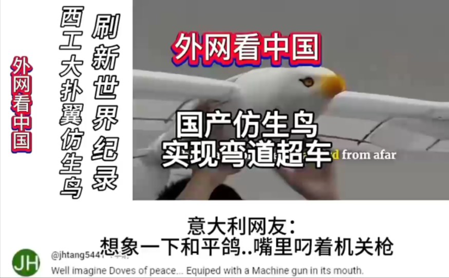 外网热评中国西工大研发的扑翼仿生机器鸟,日本网友:仿生鲨鱼,仿生狗现在是仿生鸟,我们什么时候可以有仿生的妻子?哔哩哔哩bilibili