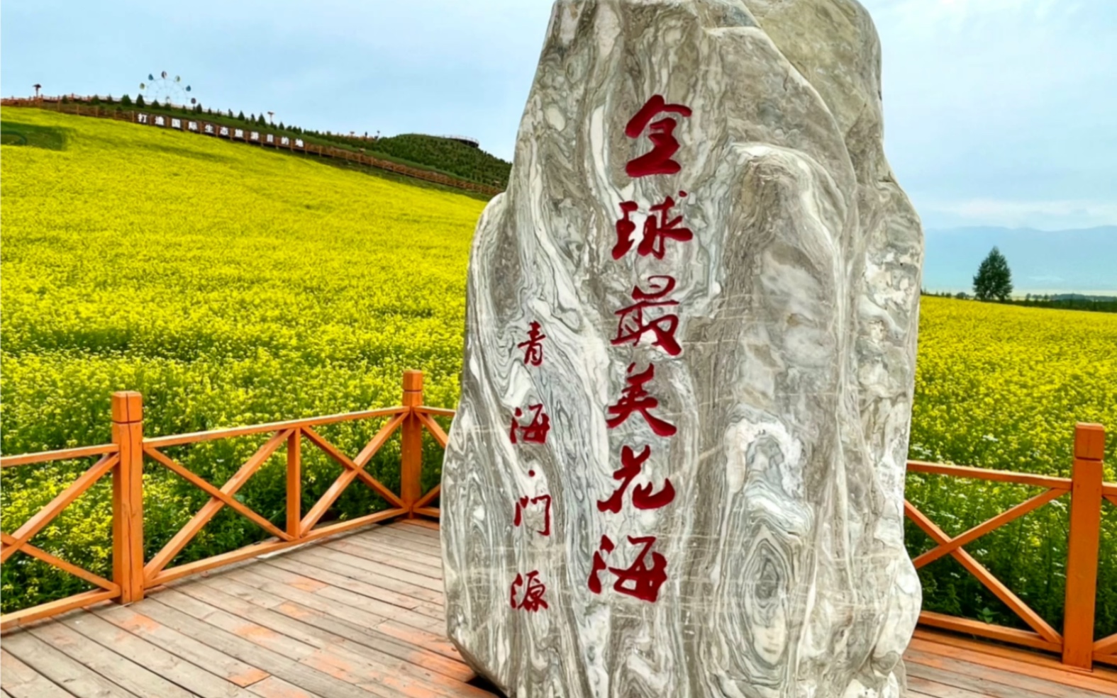 青海门源油菜花中国著名旅游景点威为壮观