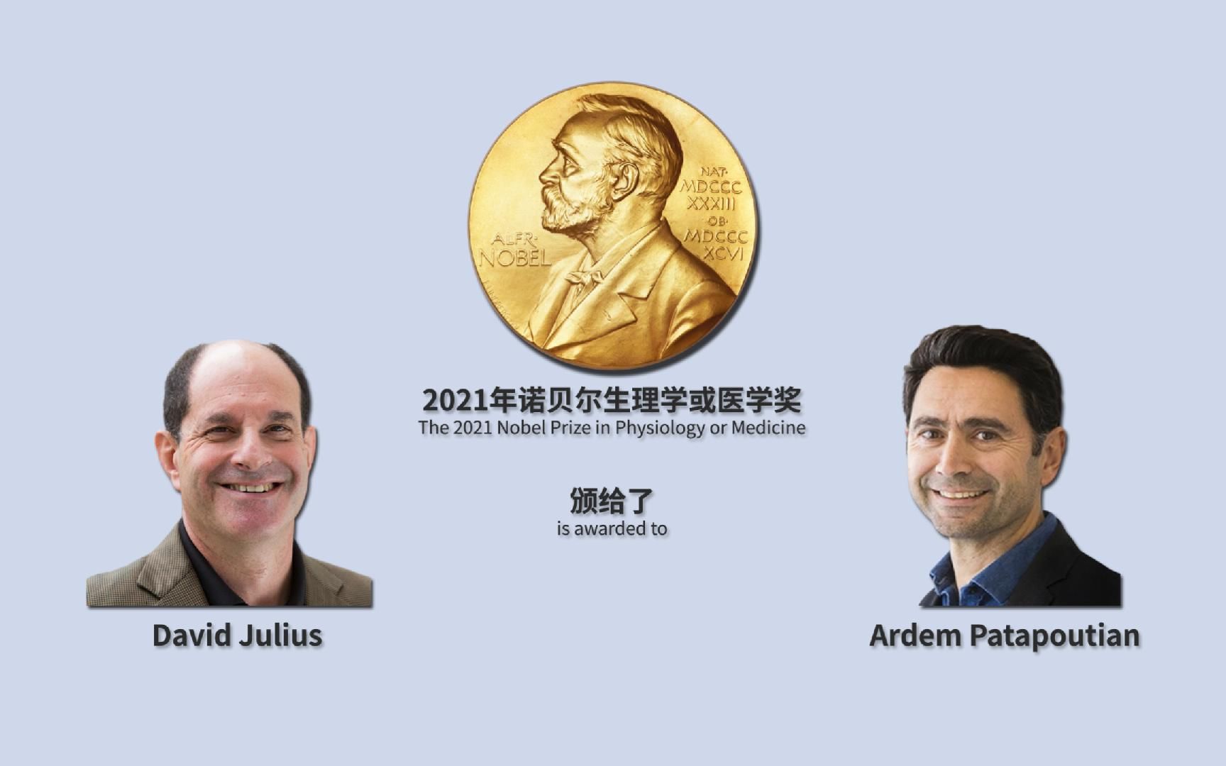 诺贝尔生理学奖 B站