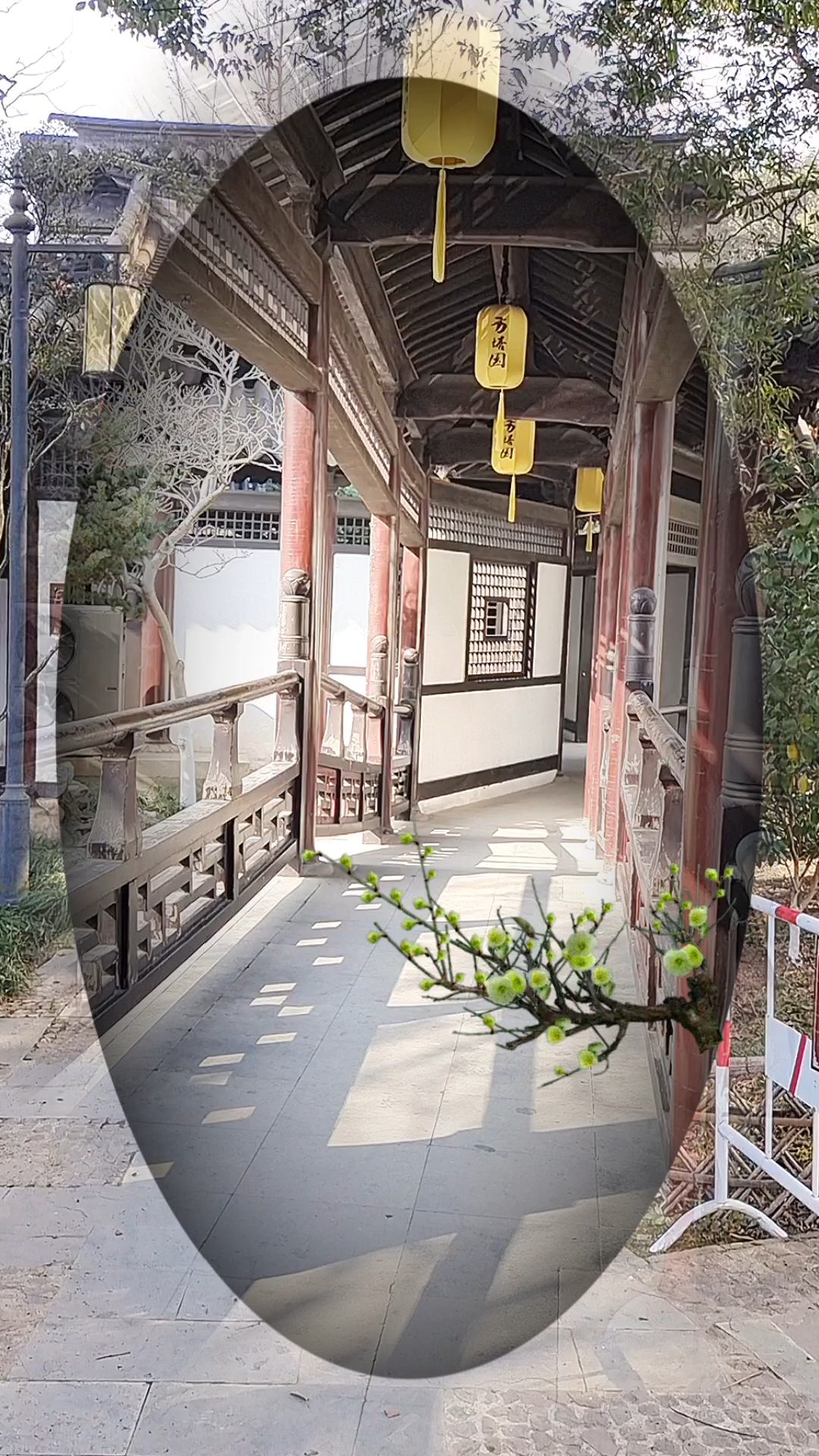 常熟赵园风景好美啊!