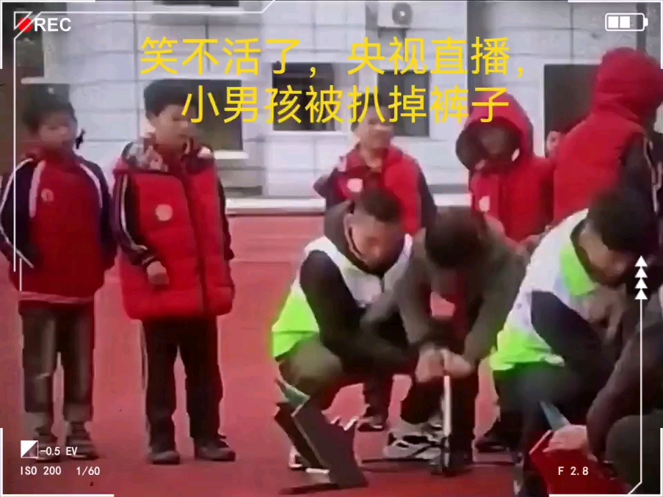 小学生脱裤子图片