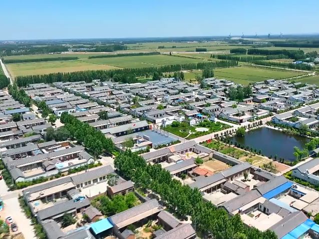 德州市齐河县赵官镇:投身"乡镇百村"建设 见证乡村蜕变