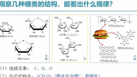 必修一同步课 2 3 细胞中的糖类和脂质 哔哩哔哩