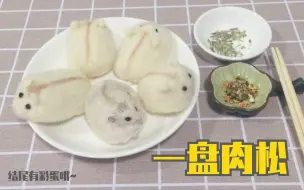 下载视频: 【仓鼠肉松】一盘肉松（结尾有彩蛋哦～）