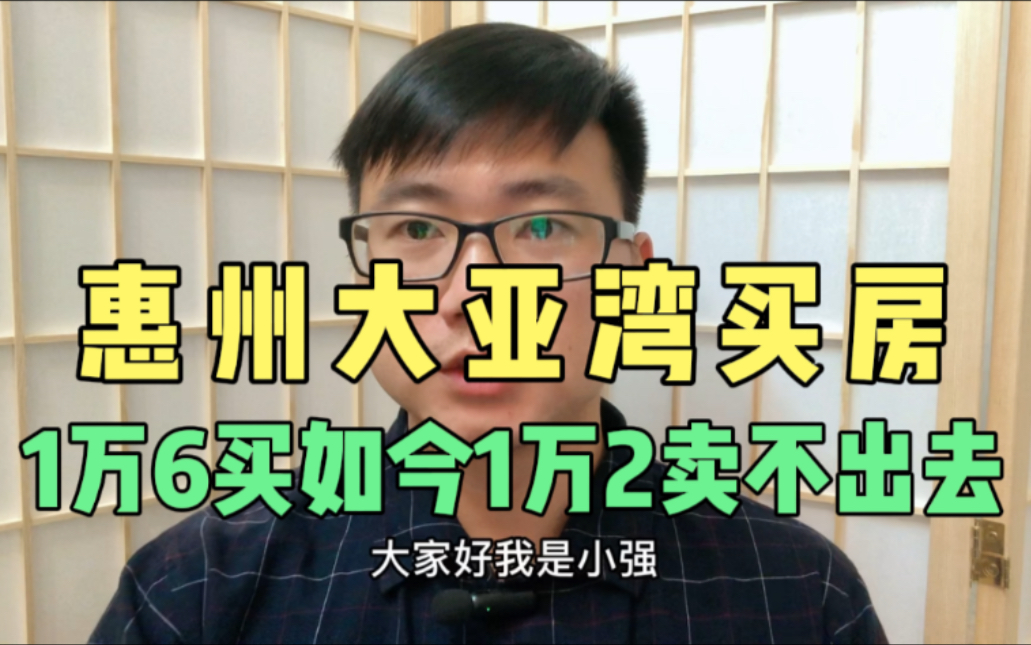 惠州大亚湾买房,1万6买入如今1万2卖不出,是亏48万还是留着升值哔哩哔哩bilibili