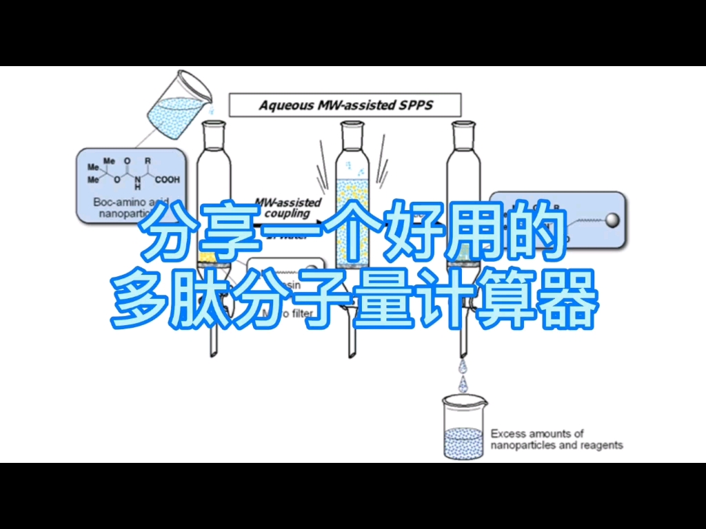 分享一个好用的多肽分子量计算器哔哩哔哩bilibili