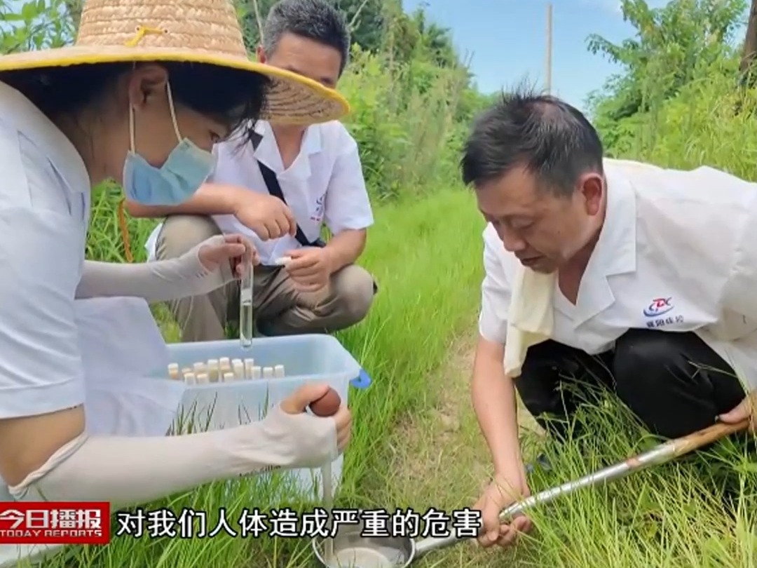 【骄阳似你:职业捕蚊人以身诱蚊,高温下追着蚊子跑,坐等蚊子咬.】哔哩哔哩bilibili