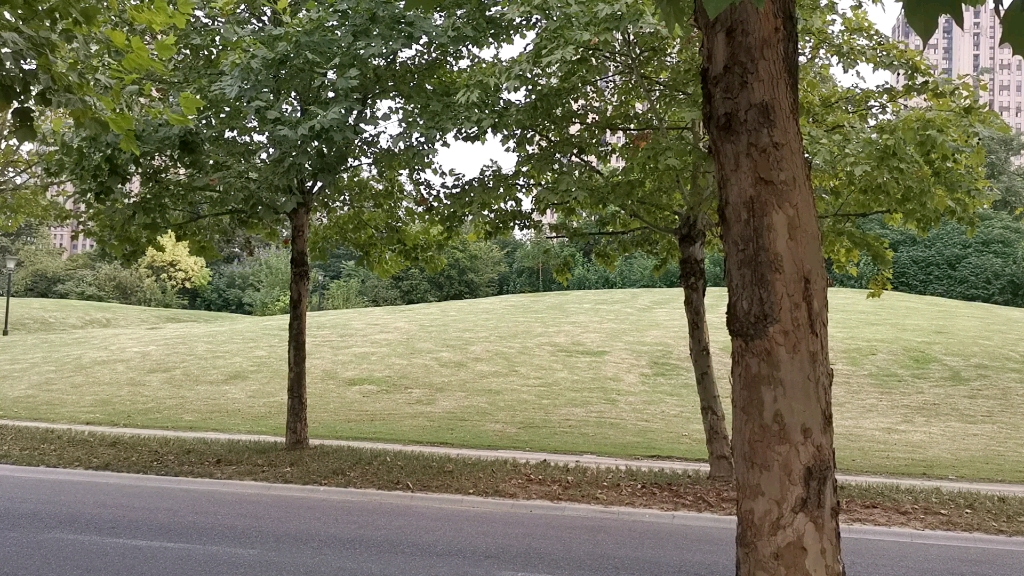 [图]常州夏日即景