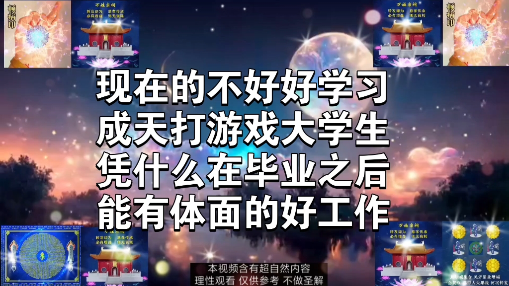 大学生哔哩哔哩bilibili