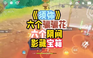 Download Video: 《须弥》六个骗骗花的祖传影藏宝箱！