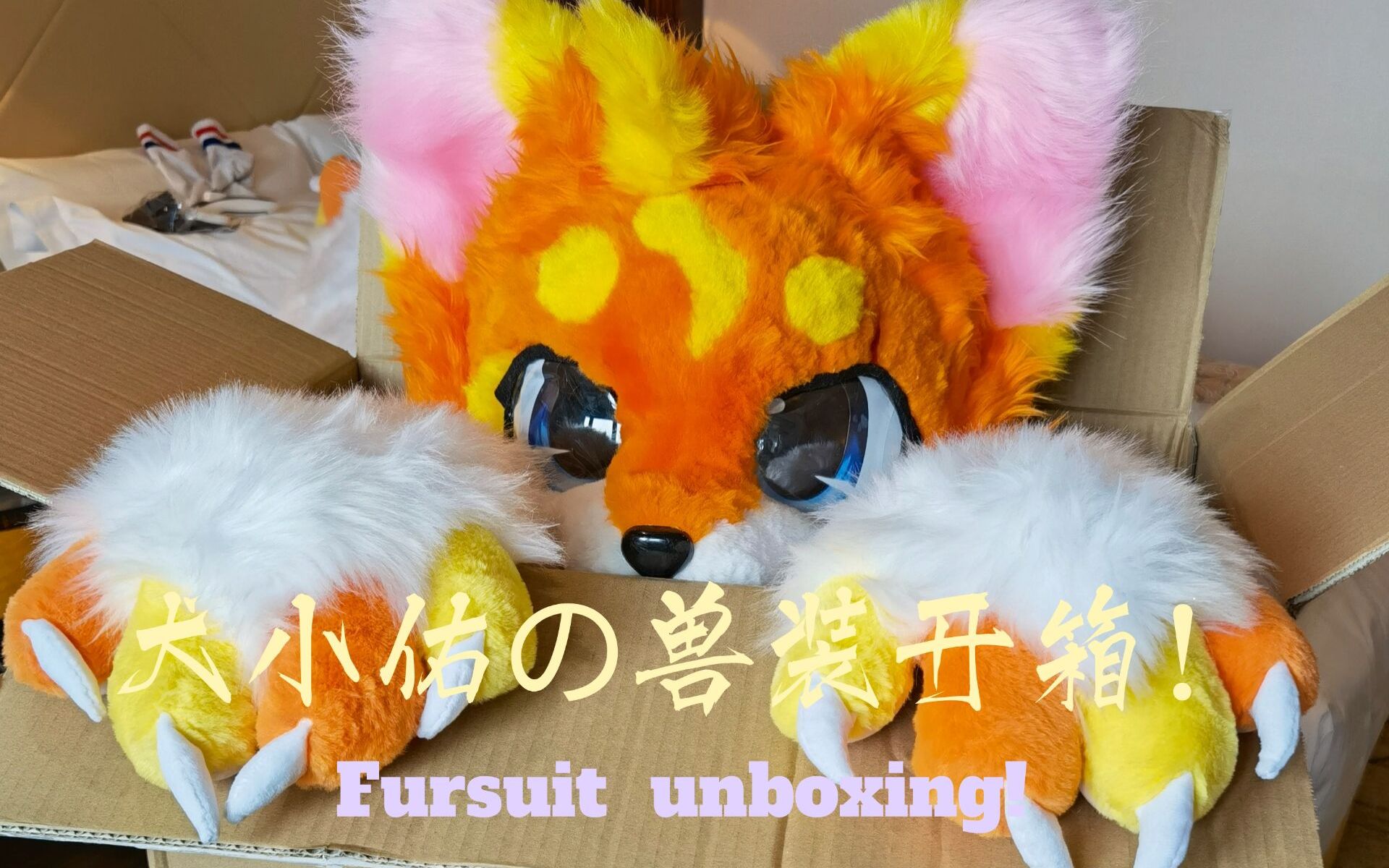 【兽装/fursuit】是橘子味儿的犬小佑!全装开箱和效果展示哔哩哔哩bilibili