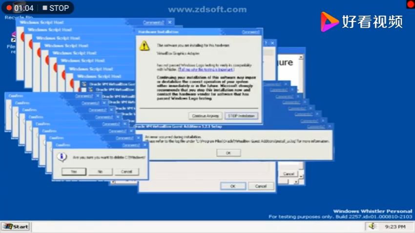 windows whistler crazy error