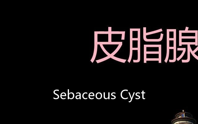 皮脂腺囊肿 Chinese Pronunciation Sebaceous Cyst哔哩哔哩bilibili