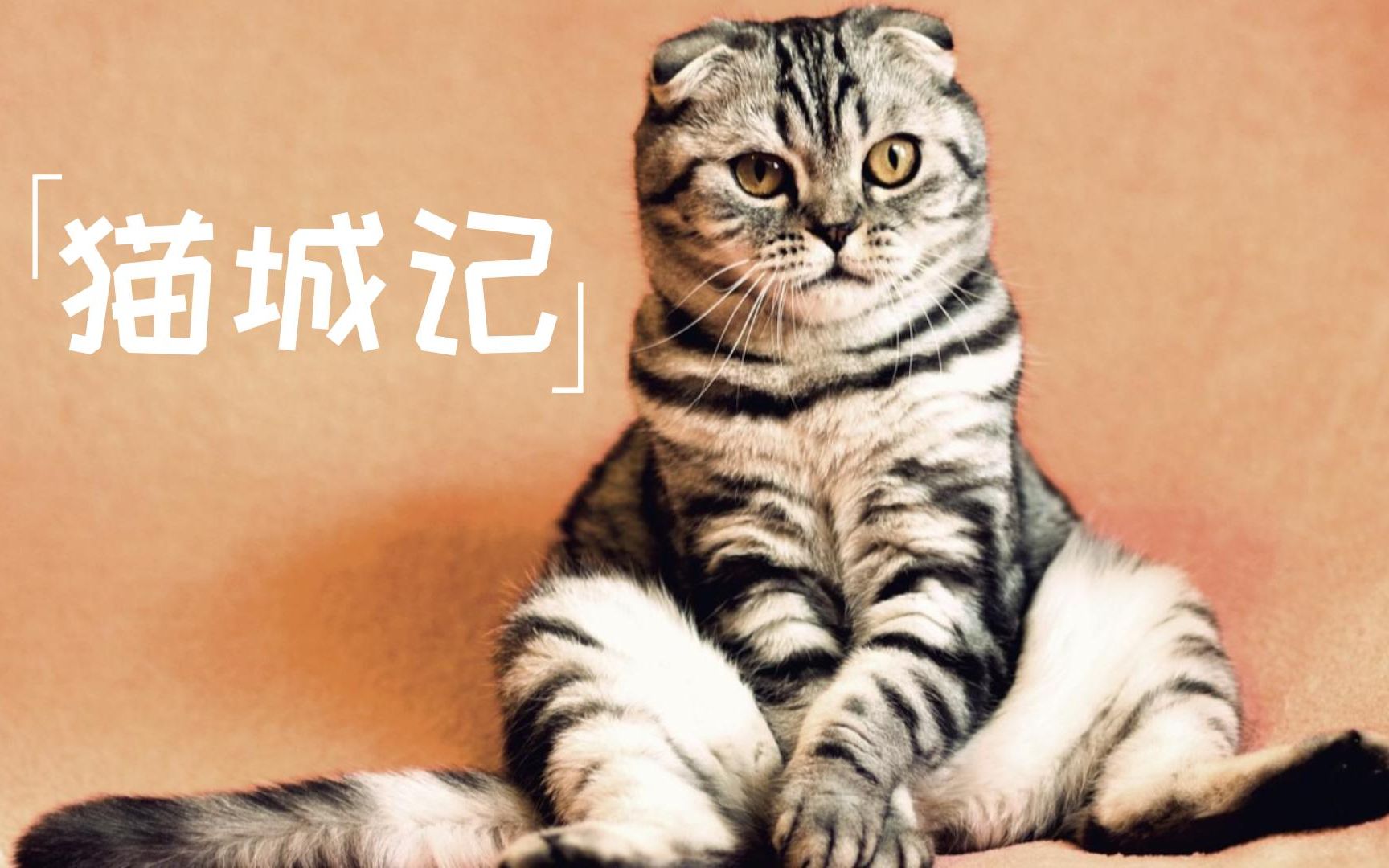 [图]喵星人？《猫城记》老舍所著的一篇“科幻小说”01