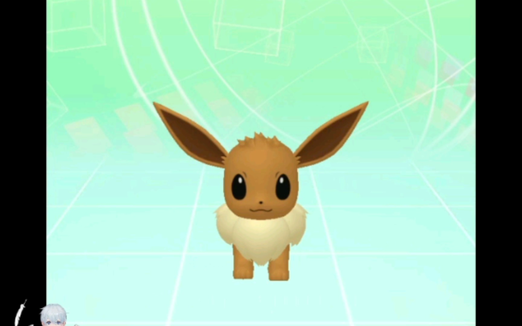 活动  可爱的小伊布