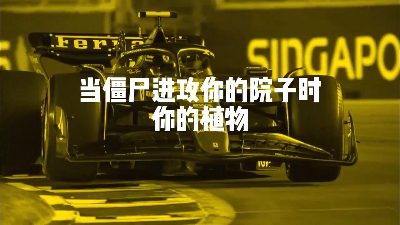 当僵尸入侵你的院子时