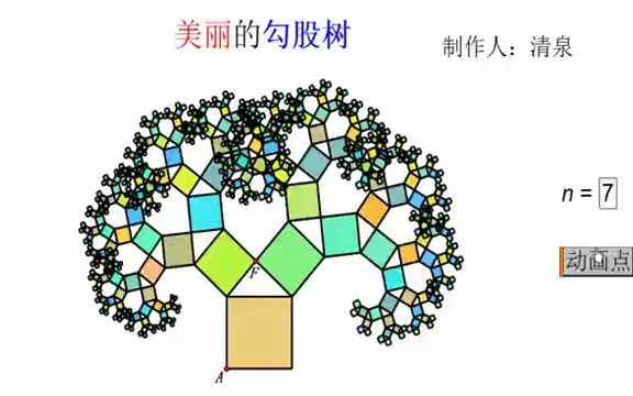 美丽的勾股树哔哩哔哩bilibili