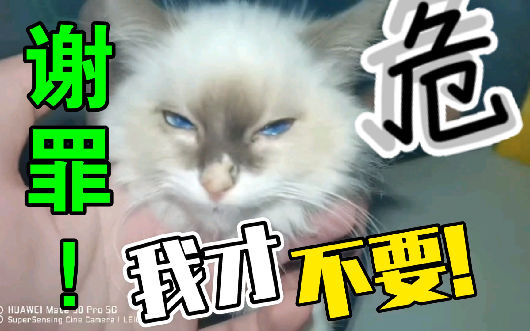 不是哪里都是撤硕儿