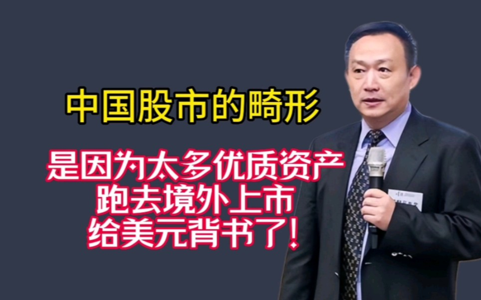 卢麒元:应该把这些优质海外资产召回,改善中国股市,让国民获益!哔哩哔哩bilibili