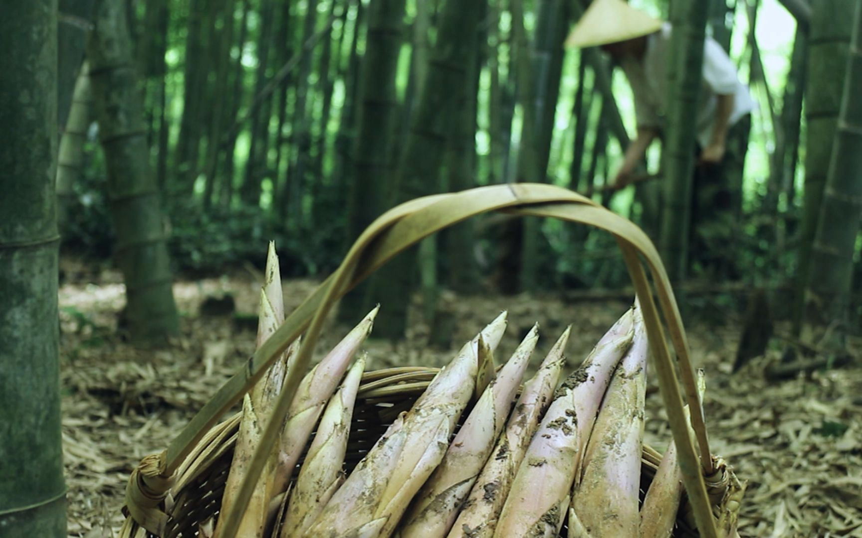 活动  菜园里各种时令蔬菜上市,再挖点鞭笋,做个绍兴人都爱吃的麦夹头