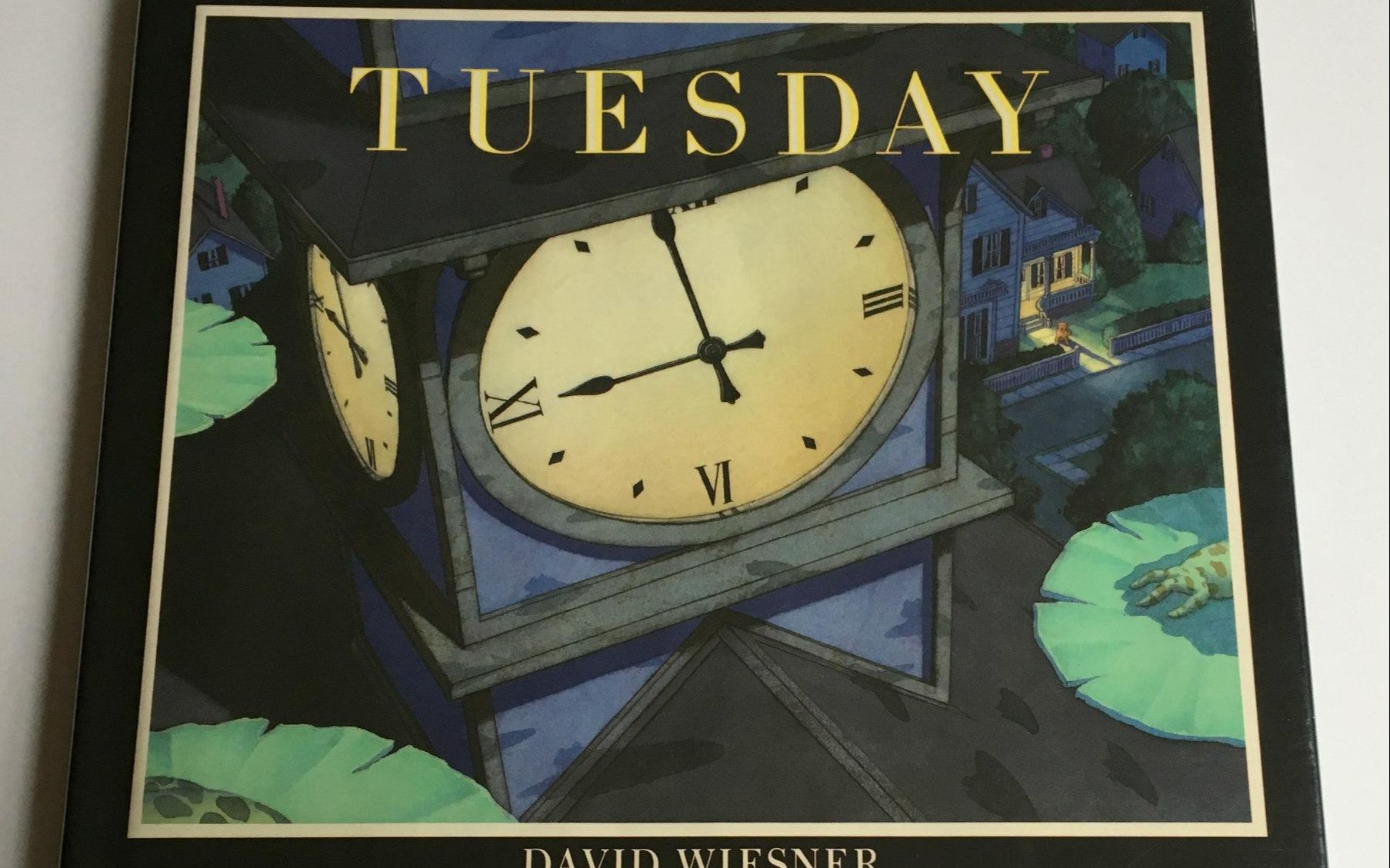 [图]『无字绘本 凯迪克大奖获奖作品』疯狂星期二 Tuesday by David Wiesner