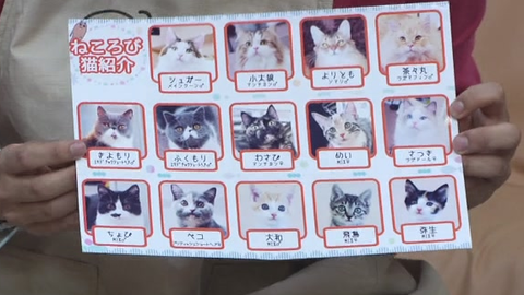 ねころび男子9期yashiroのrap Guest 八代拓 哔哩哔哩 ねころび男子9期yashiroのrap Guest 八代拓 哔哩哔哩