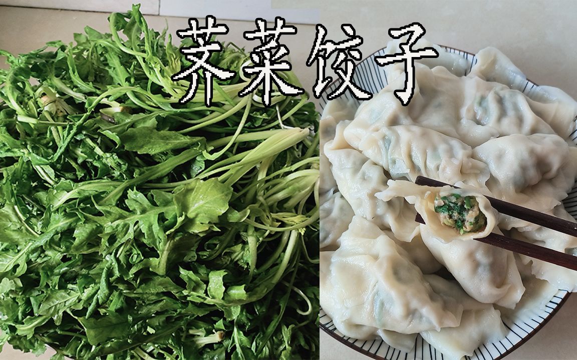 春天里必须要吃的时令野菜,荠菜饺子,清香爽口,踏春时顺带薅一把回来哔哩哔哩bilibili