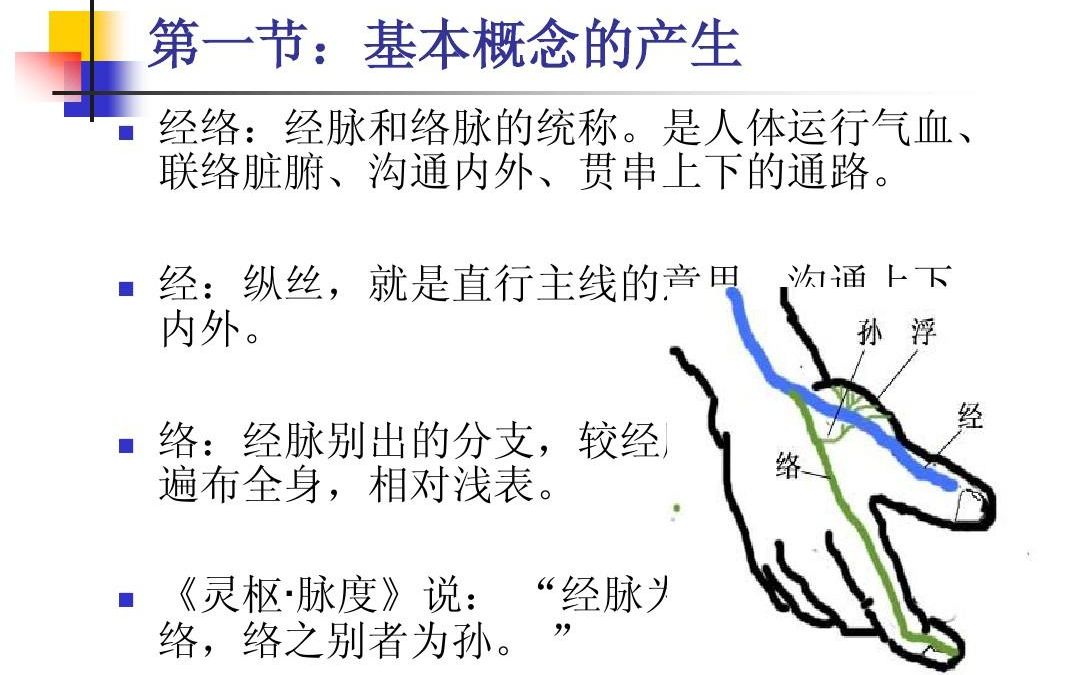 [图]【Z7】中医经脉知识  针灸知识 中医入门课程《12经脉学习》