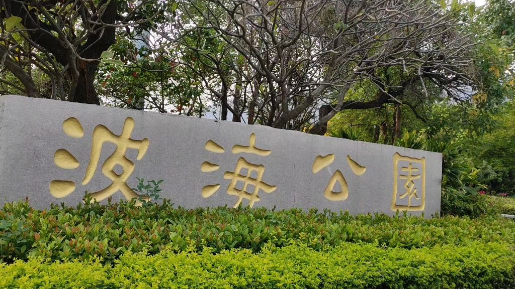 肇庆端州波海公园踏青～露营好去处～宫粉紫荆黄花风铃美美哒