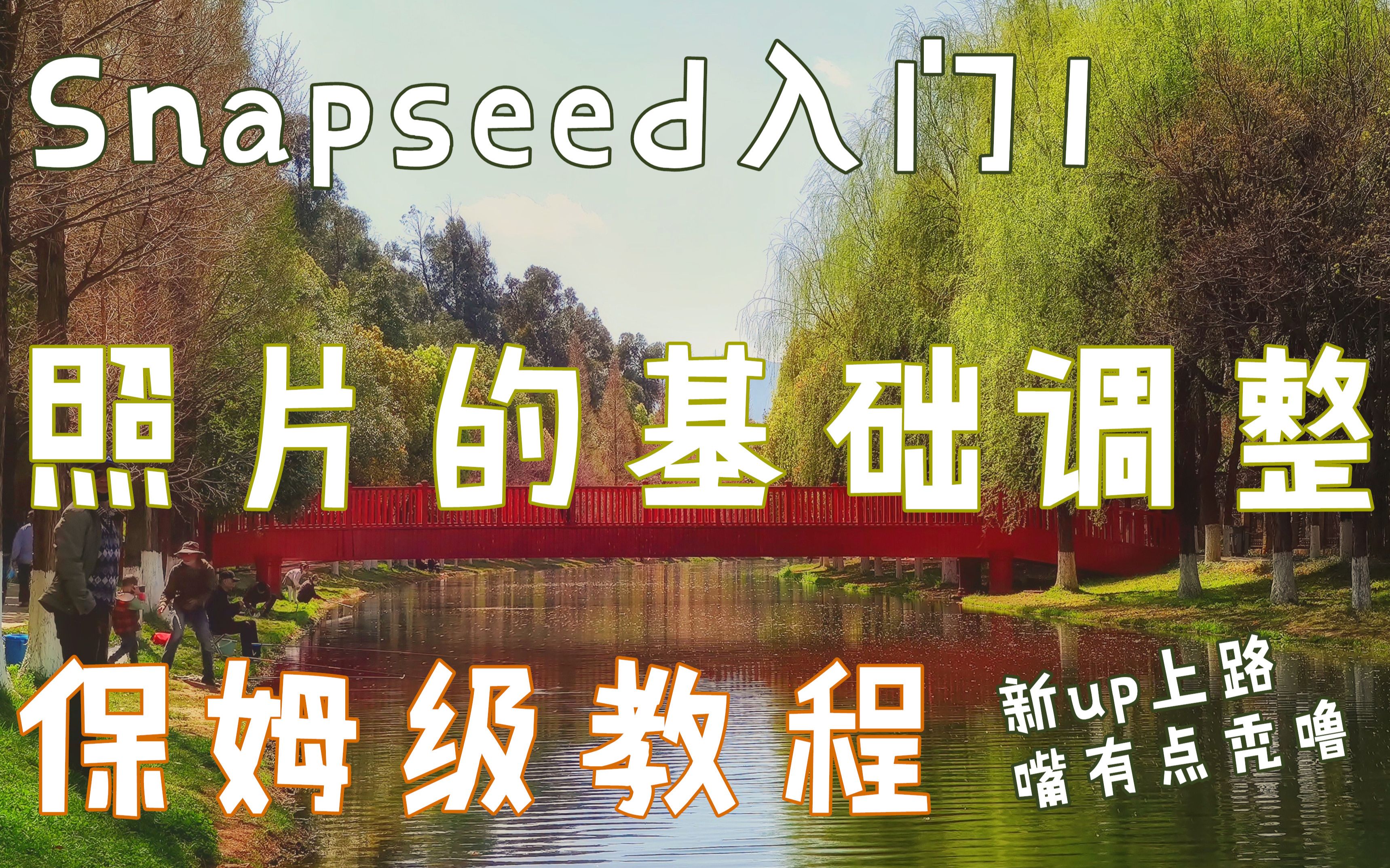 【Snapseed】Snapseed入门1:基础调整的保姆级教程哔哩哔哩bilibili