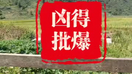 凶得批爆我的假期!