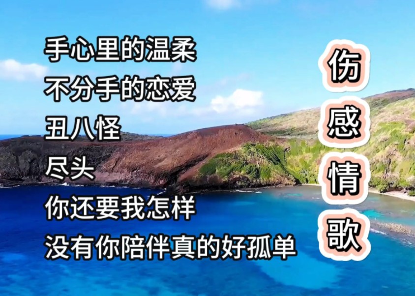 [图]伤感情歌《手心里的温柔》《不分手的恋爱》《丑八怪》《尽头》《你还要我怎样》《没有你陪伴真的好孤单》