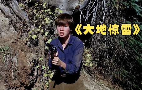 [图]独眼龙双枪灭四虎，约翰韦恩主演，1969年西部老电影《大地惊雷》