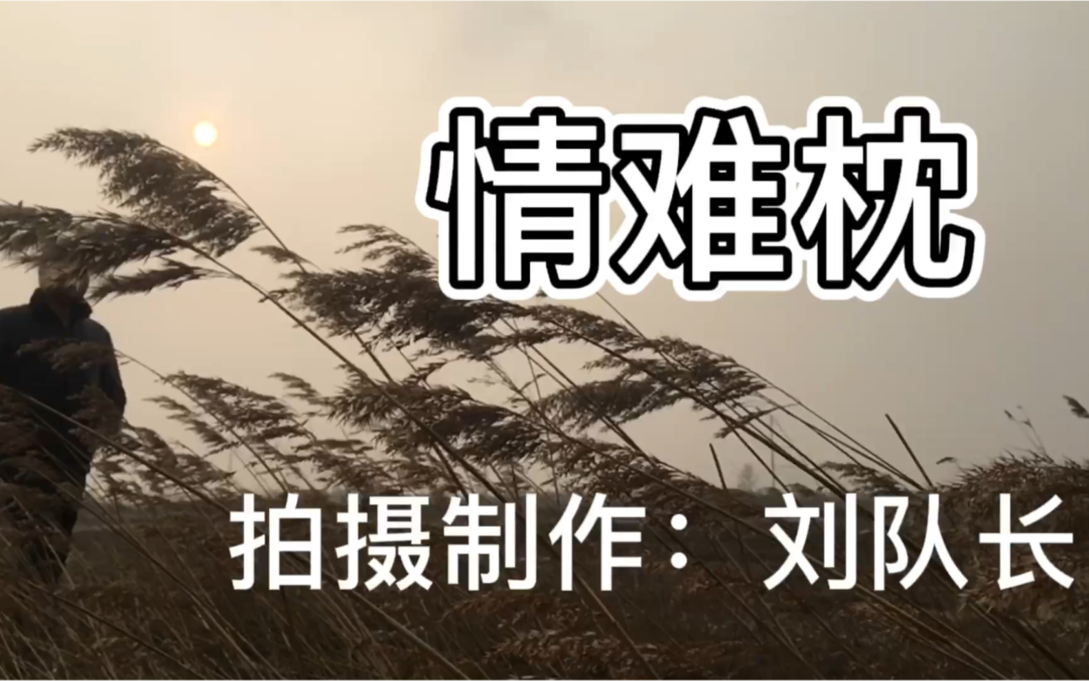 第一次做的mv,情难枕